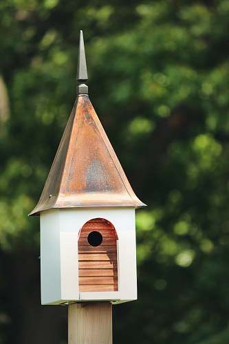 lamp white and brown birdhouse brown